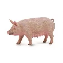 Collecta Maciora - Figurki dla dzieci - miniaturka - grafika 1