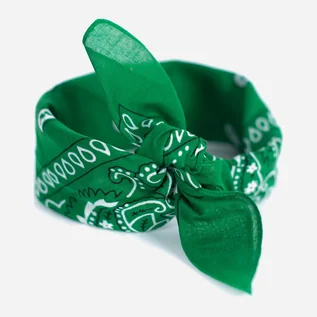 Czapki i chusty sportowe damskie - Bandana Art Of Polo Sz13014-6 Zielona (5902021182855) - grafika 1