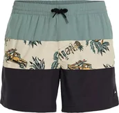 Kąpielówki męskie - O Neill Męskie Szorty MIX & MATCH CALI BLOCK 15'' SWIM SHORTS - miniaturka - grafika 1