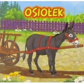 Powieści i opowiadania - Campbell Katarzyna Osiołek - mamy na stanie, wyślemy natychmiast - miniaturka - grafika 1