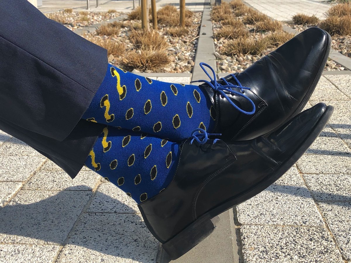 Niebieskie Skarpetki męskie w żółte Sznurówki