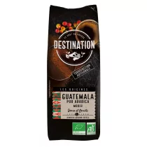 Destination Kawa 100% Arabica Gwatemala mielona 250g EKO - Kawa - miniaturka - grafika 1