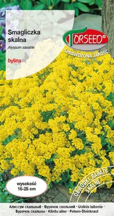 Nasiona Smagliczka skalna żółta 0,5g - Torseed - Nasiona i cebule - miniaturka - grafika 1