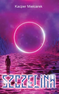 Wydawnictwo Nowoczesne Szczelina Kacper Mielcarek - Horror, fantastyka grozy - miniaturka - grafika 1