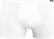 Majtki męskie - Teyli Bokserki męskie bawełniane Levi białe Biały 3XL - miniaturka - grafika 1
