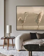 Obrazy i zdjęcia na płótnie - Czaple - dekoracja ścienna - miniaturka - grafika 1