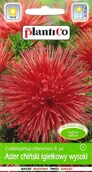 Nasiona i cebule - Aster chiński igiełkowy wysoki czerwony nasiona 1g PlantiCo - miniaturka - grafika 1