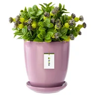 Donice - Doniczka ceramiczna 24x26 cm z podstawką róż - miniaturka - grafika 1