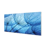 Tablice i flipcharty - Lacobel dekoracyjny  Krople dmuchawce makro 120x60 - miniaturka - grafika 1