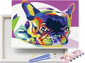 Malowanie po numerach - Malowanie po Numerach Kolorowy Buldog Francuski / beliart - miniaturka - grafika 1
