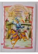 Baśnie, bajki, legendy - Przygody rycerza Szaławiły - miniaturka - grafika 1