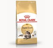 Sucha karma dla kotów - Royal Canin Adul Maine Coon 2 kg - miniaturka - grafika 1