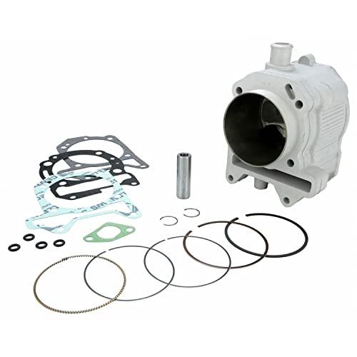 Zestaw cylindrów MALOSSI 282ccm - CARNABY 300 ie 4T LC euro 3 (QUASAR)