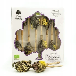 Herbatka na patyku Trawienie EKO 8x3,25g Dary Natury - Herbata - miniaturka - grafika 1