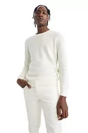 Koszulki męskie - DeFacto Męski sweter z dzianiny z długim rękawem, okrągły dekolt, slim fit dla mężczyzn, topy (ecru, XL), écru, XL - miniaturka - grafika 1