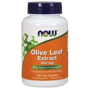 Suplementy naturalne - Now Foods Ekstrakt z liści oliwnych 500 mg/120 kaps. TT001934 - miniaturka - grafika 1