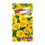 Nasiona i cebule - Aksamitka rozpierzchła Stefi 1g / O / - miniaturka - grafika 1