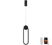 Lampy sufitowe - Immax NEO 07232L - LED Żyrandol ściemnialny na lince LITE OVALE LED/22W/230V + +pilot - miniaturka - grafika 1