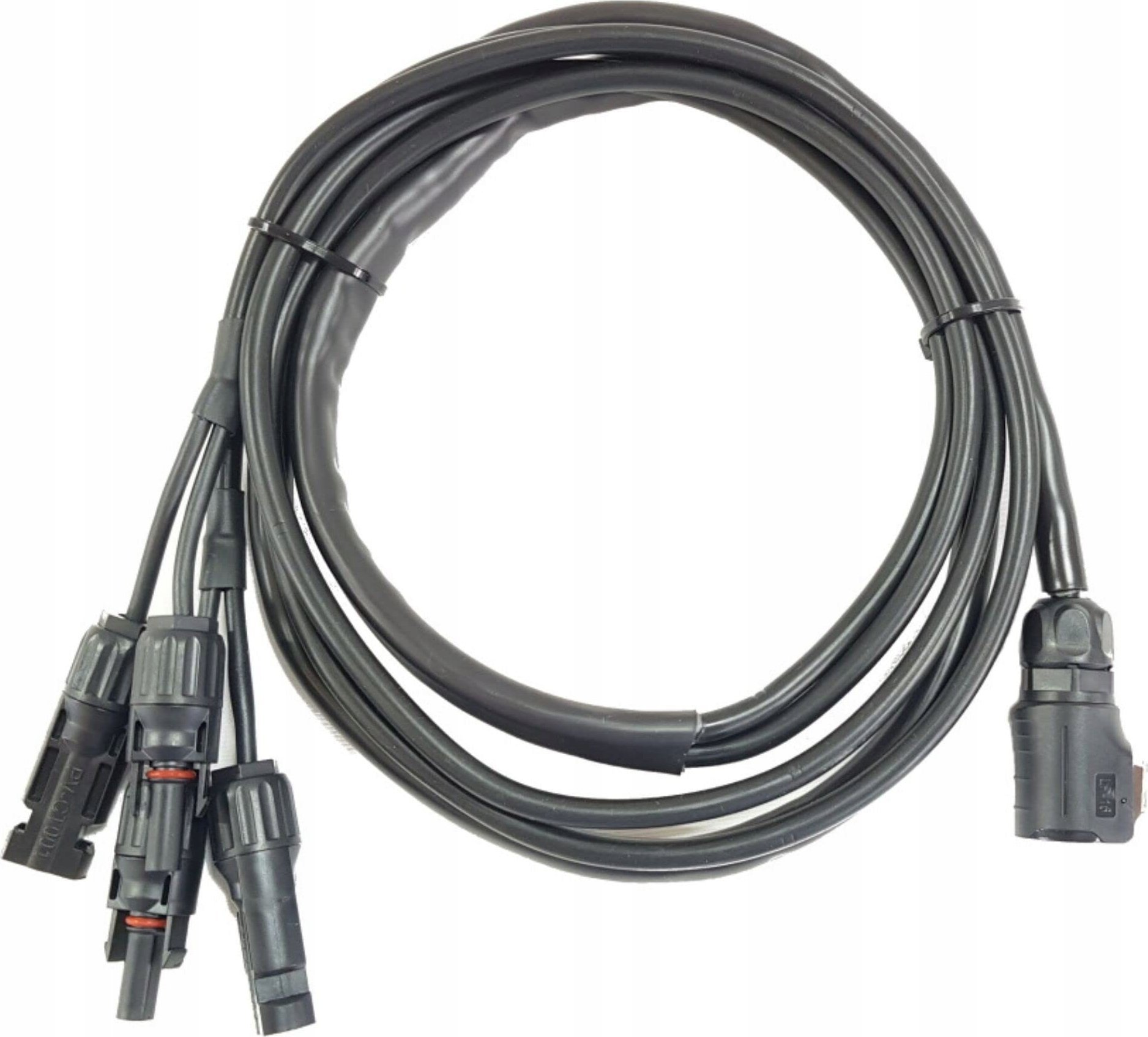Karta sieciowa B&W International energy.case connection cable for two PV DC Plug Connector EC/PVDC/Y