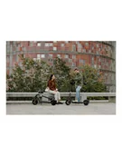 Hulajnogi elektryczne - Hulajnoga Ninebot by Segway F2 Pro E, Segway Hulajnoga F2 Pro E Do 25 km/h 10 ''; Czarny - miniaturka - grafika 1