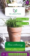 Nasiona i cebule - Nasiona Owies wielkanocny 20g - W.Legutko - miniaturka - grafika 1
