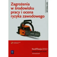 Podręczniki dla szkół zawodowych - Zagrożenia w środowisku pracy i ocena ryzyka zawodowego. Kwalifikacja Z.13.3. Podręcznik do nauki zawodu Technik BHP - miniaturka - grafika 1