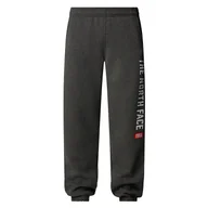 Spodnie sportowe męskie - Spodnie The North Face Varsity Graphic 0A89DPDYY1 - szare - miniaturka - grafika 1