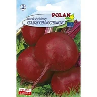 Nasiona i cebule - Burak Ćwikłowy Okrągły Ciemnoczerwony Polan - miniaturka - grafika 1