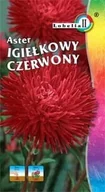 Nasiona i cebule - Aster igiełkowy czerwony 1g / L / - miniaturka - grafika 1