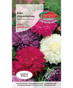 Nasiona Aster wysoki chryzantemowy mieszanka 1g - Torseed - Nasiona i cebule - miniaturka - grafika 1