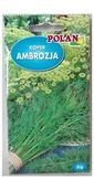 Nasiona i cebule - Koper Ogrodowy Ambrozja Nasiona 5g Polan - miniaturka - grafika 1
