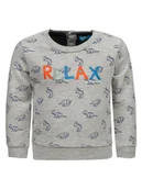 Bluzy dla chłopców - Chłopięca bluza w dinozaury szara Lief r.116 - miniaturka - grafika 1