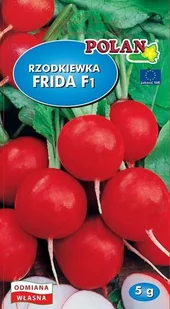 Rzodkiewka Frida F1 5 g POLAN - Nasiona i cebule - miniaturka - grafika 1