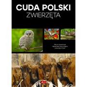 Albumy krajoznawcze - Cuda Polski. Zwierzęta - miniaturka - grafika 1