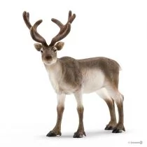 Schleich Wild Life Renifer - Figurki dla dzieci - miniaturka - grafika 1