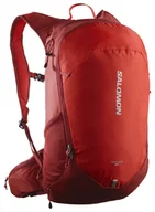 Plecaki - Plecak codzienny Salomon Trailblazer 20 - red dahlia / high risk red - miniaturka - grafika 1