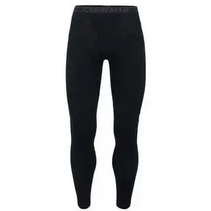 Męskie legginsy termoaktywne Icebreaker Merino 260 Tech IB104373001 - Legginsy - miniaturka - grafika 1