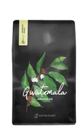 Kawa - Kawa ziarnista COFFEE PLANT Gwatemala Amapolas 250g - miniaturka - grafika 1