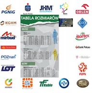 Koszulki męskie - Koszulka Nike Polo PSG DF 2.0 ESN FZ7245-410 - miniaturka - grafika 1
