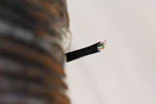 Digitus kabel instalacyjny U/UTP drut kat.5E PE zewnętrzny 305m DK-TP512 - Kable miedziane - miniaturka - grafika 3