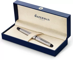 WATERMAN PIÓRO EXPERT SS CT FP M GB - Pióra wieczne - miniaturka - grafika 1