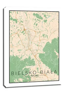 Bielsko Biała mapa kolorowa - obraz na płótnie Wymiar do wyboru: 50x70 cm - Obrazy i zdjęcia na płótnie - miniaturka - grafika 1