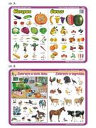 Pomoce naukowe - Nieprzypisany Podkładka edukacyjna Warzywa owoce zwierzęta w moim domu i zagrodzie VISU000 - miniaturka - grafika 1