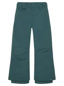 Spodnie narciarskie - Roxy Spodnie snowboardowe Backyard ERGTP03053 Zielony Regular Fit - miniaturka - grafika 1