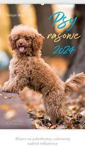 Kalendarz 2024 Reklamowy Psy rasowe - Kalendarze - miniaturka - grafika 1
