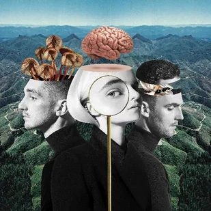 Clean Bandit What Is Love$119 Deluxe) - Muzyka elektroniczna - miniaturka - grafika 2