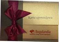 Dewocjonalia - Karta upominkowa o wartości 100 zł. - Bogulandia - wszystko czego dusza zapragnie - miniaturka - grafika 1