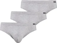 Majtki męskie - Teyli Wielopak slipów męskich Toni szary 3XL Szary - miniaturka - grafika 1