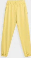 Spodnie sportowe damskie - 4f Spodnie damskie 4F F147 jasny żółty 4FSS23TTROF147 73S S - miniaturka - grafika 1