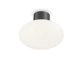 Lampy sufitowe - Ideal Lux Podstawa plafonu CLIO MPL1 IP44 antracyt 148861 148861/IL - miniaturka - grafika 1